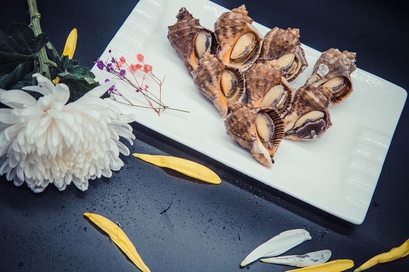 1757316111202142.jpg 海螺.jpg