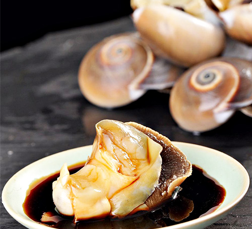 1770194802183009.jpg 玉螺1.jpg